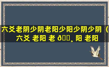 六爻老阴少阴老阳少阳少阴少阴（六爻 老阳 老 🌸 阳 老阳 老阳 🦟  少阴 少阳）